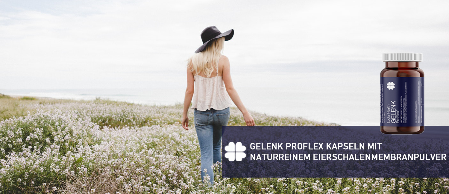 GELENK-Proflex-Slider